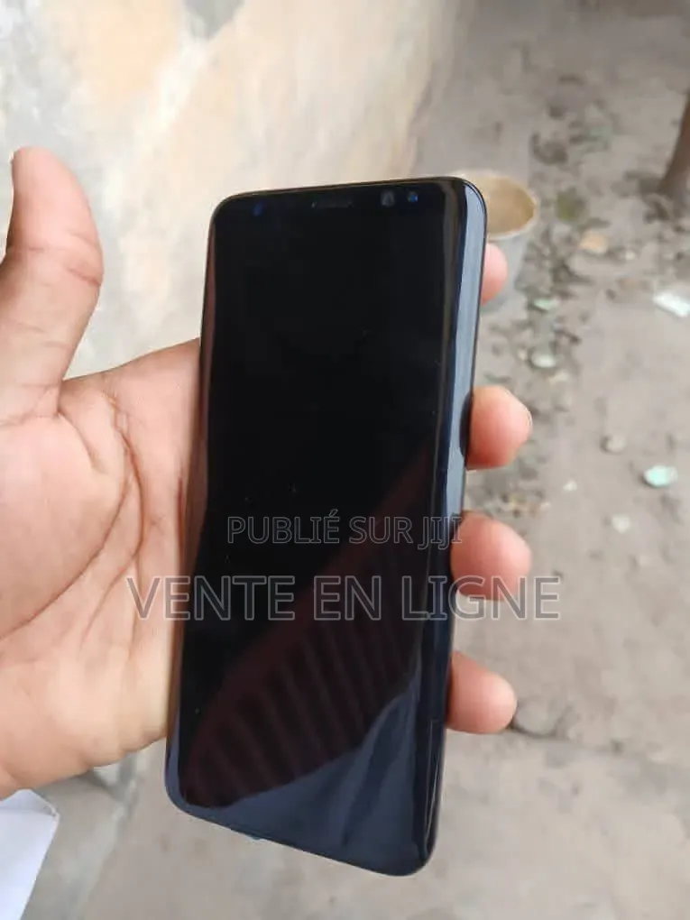Samsung Galaxy S8 64 GB Autre