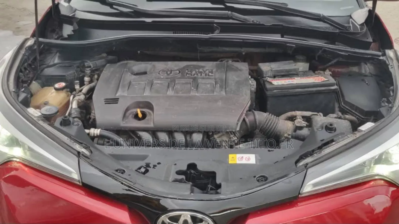 Toyota C-HR XLE FWD Sport Utility (2.0L 4cyl 2AM) 2018 Bordeaux