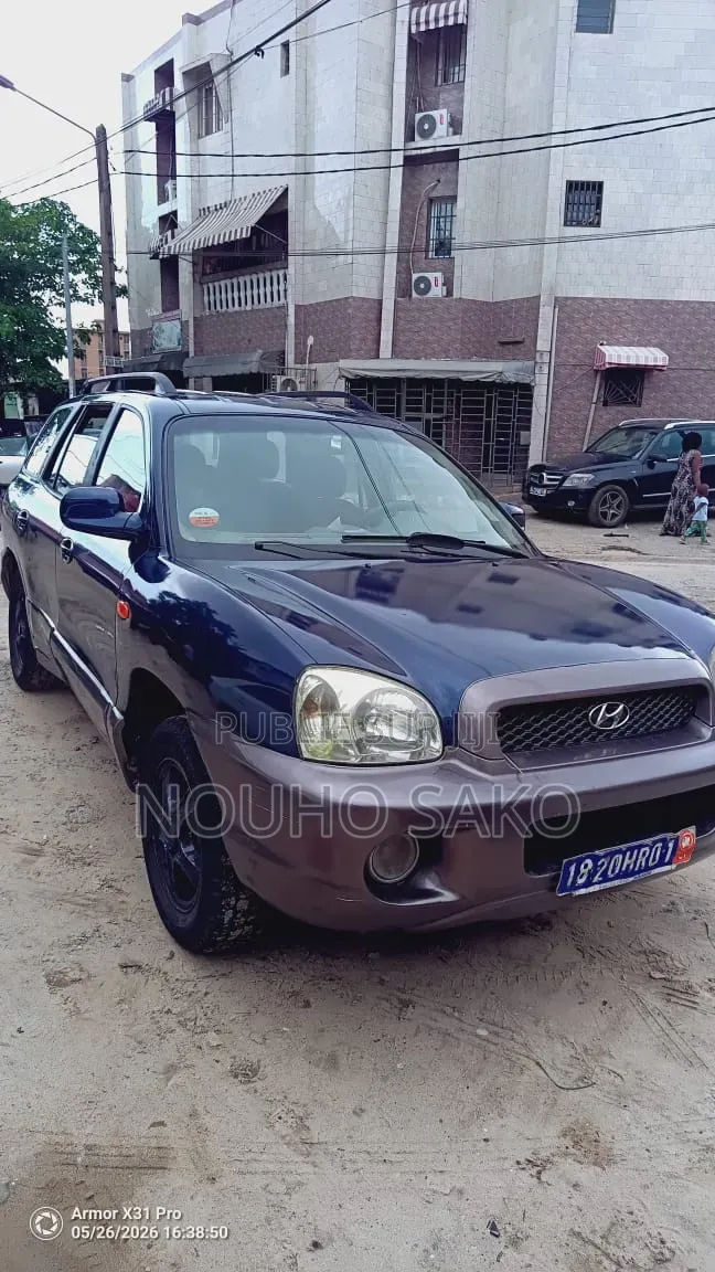 Hyundai Santa Fe 2005 Bleu