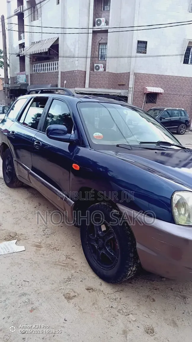 Hyundai Santa Fe 2005 Bleu