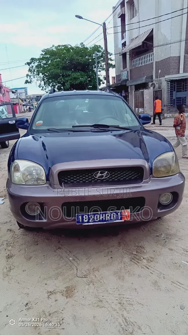 Hyundai Santa Fe 2005 Bleu