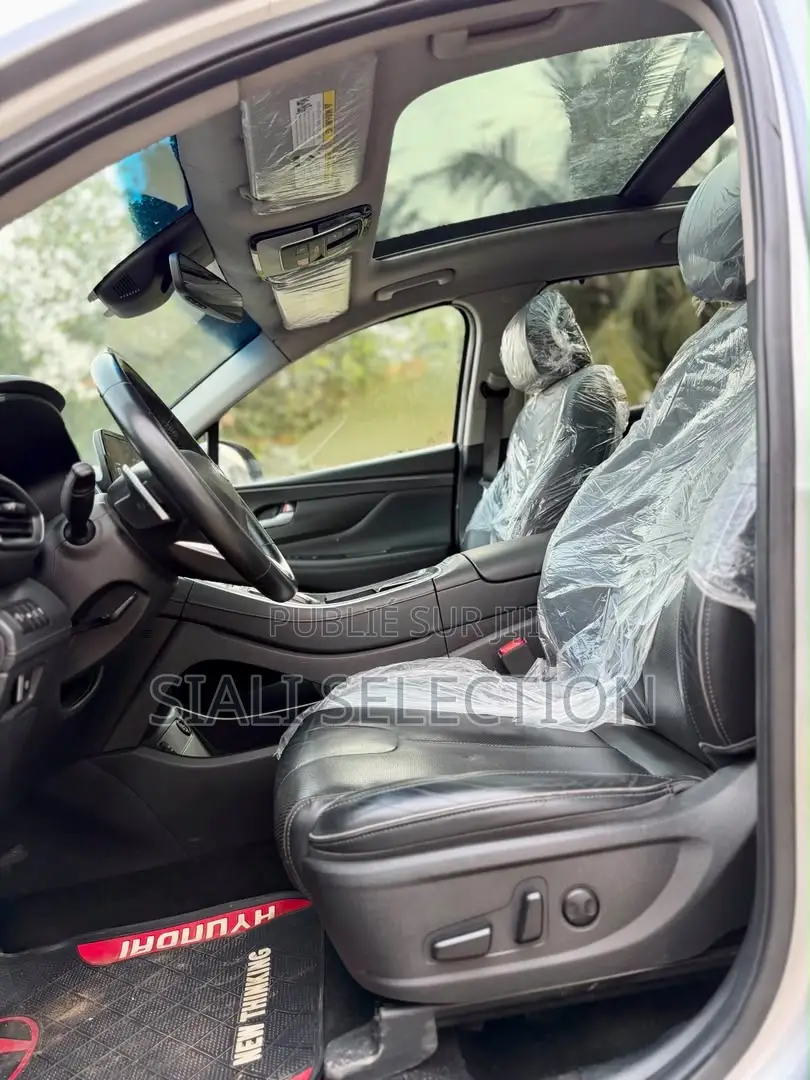 Hyundai Santa Fe 2023 Gris