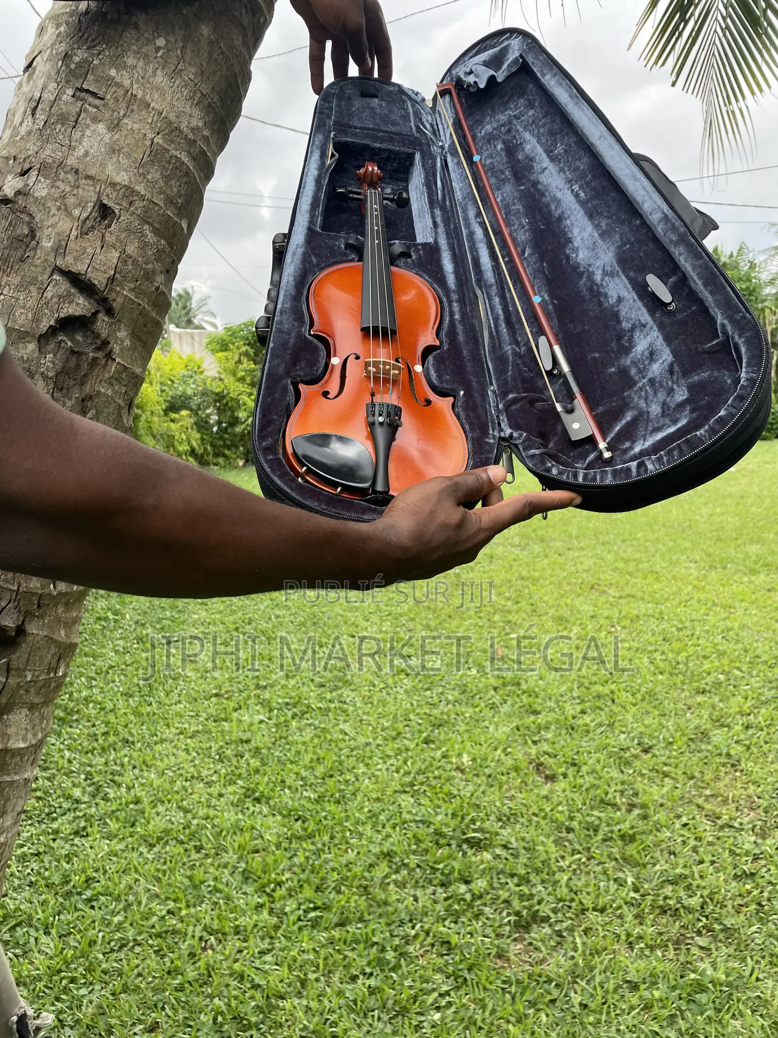 Violon ,Violoncelle Et Contrebasse
