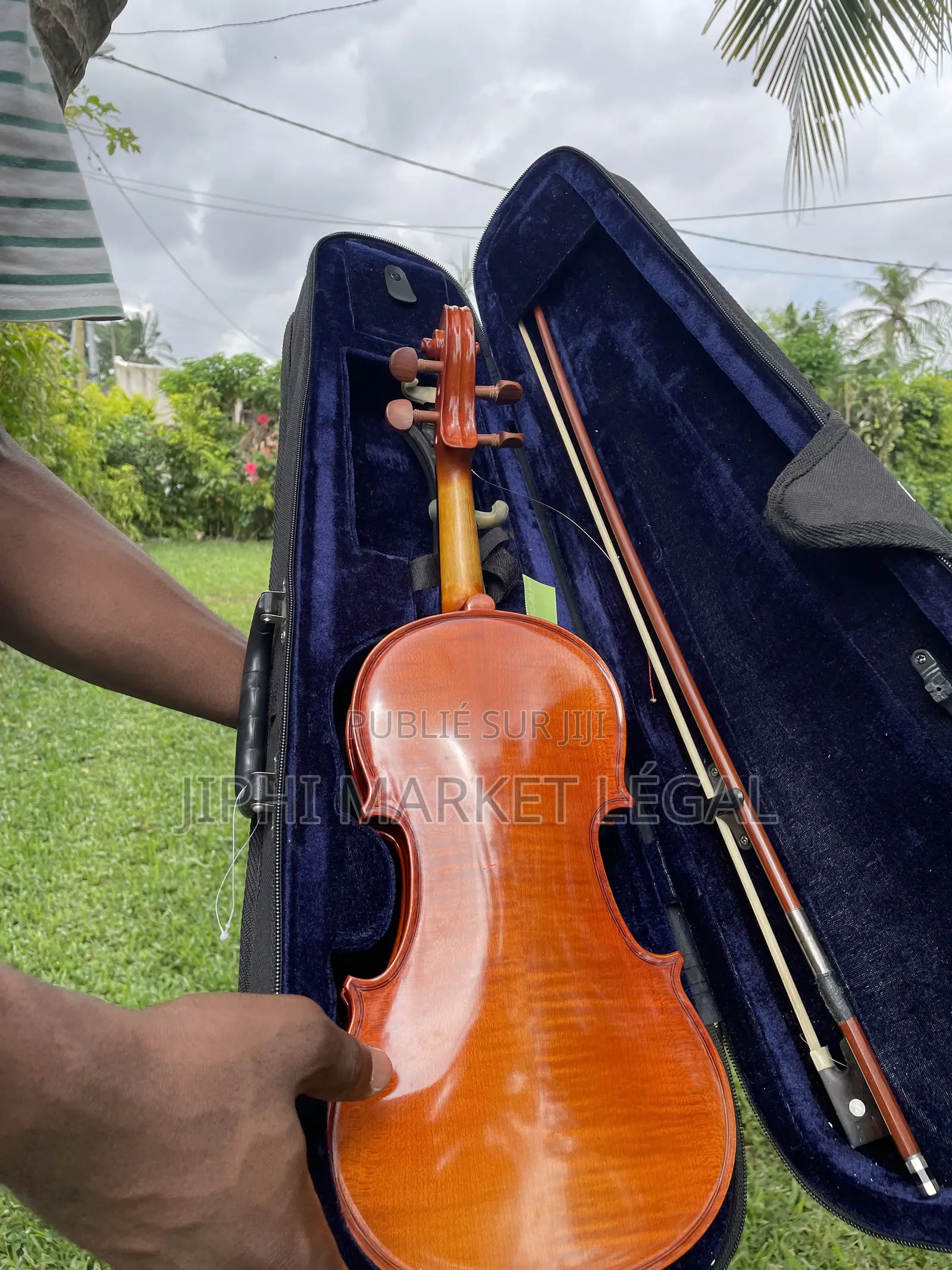 Violon ,Violoncelle Et Contrebasse