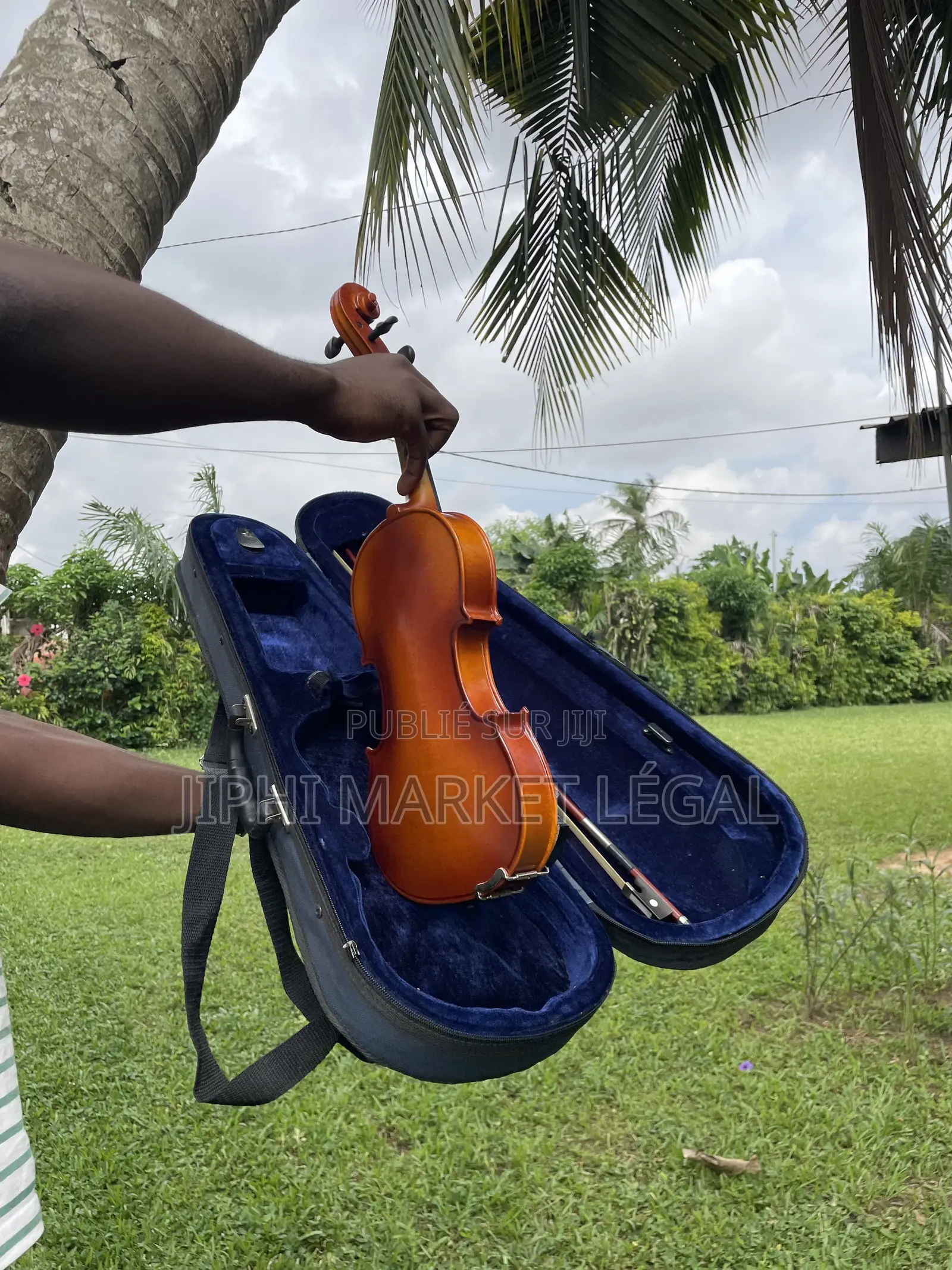 Violon ,Violoncelle Et Contrebasse