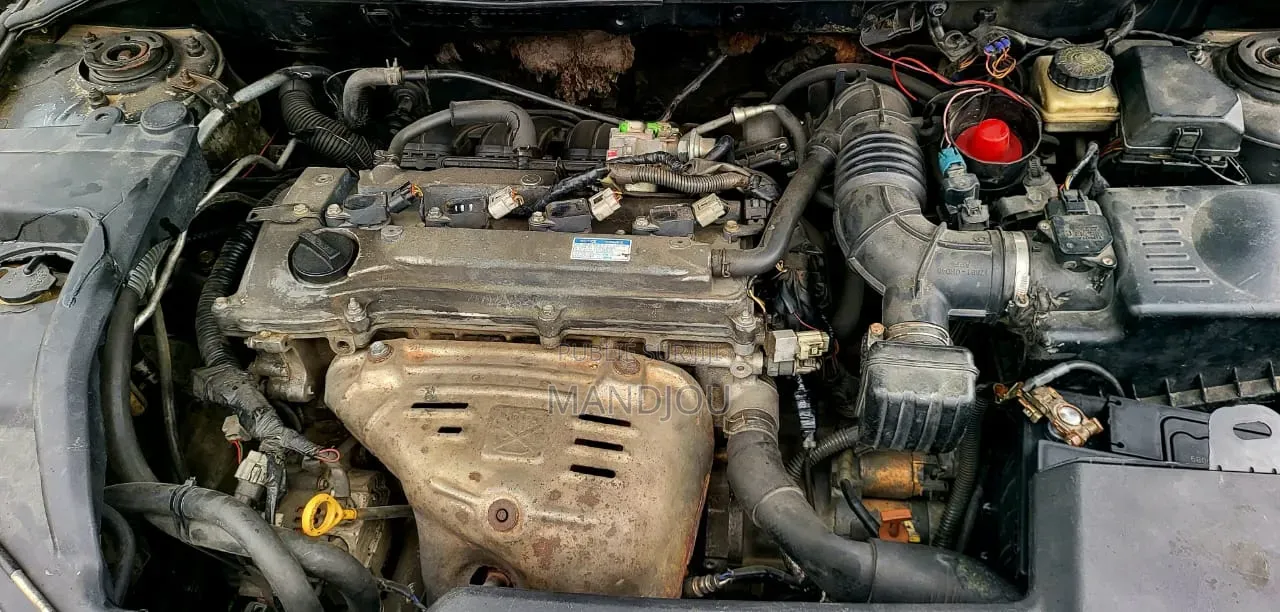 Toyota Avensis 2008 Gris