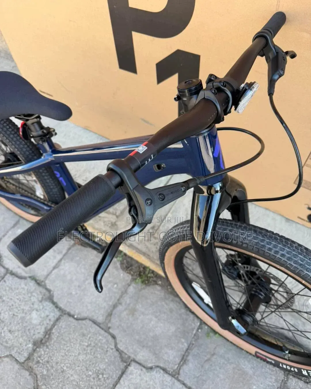 Vélo Électrique