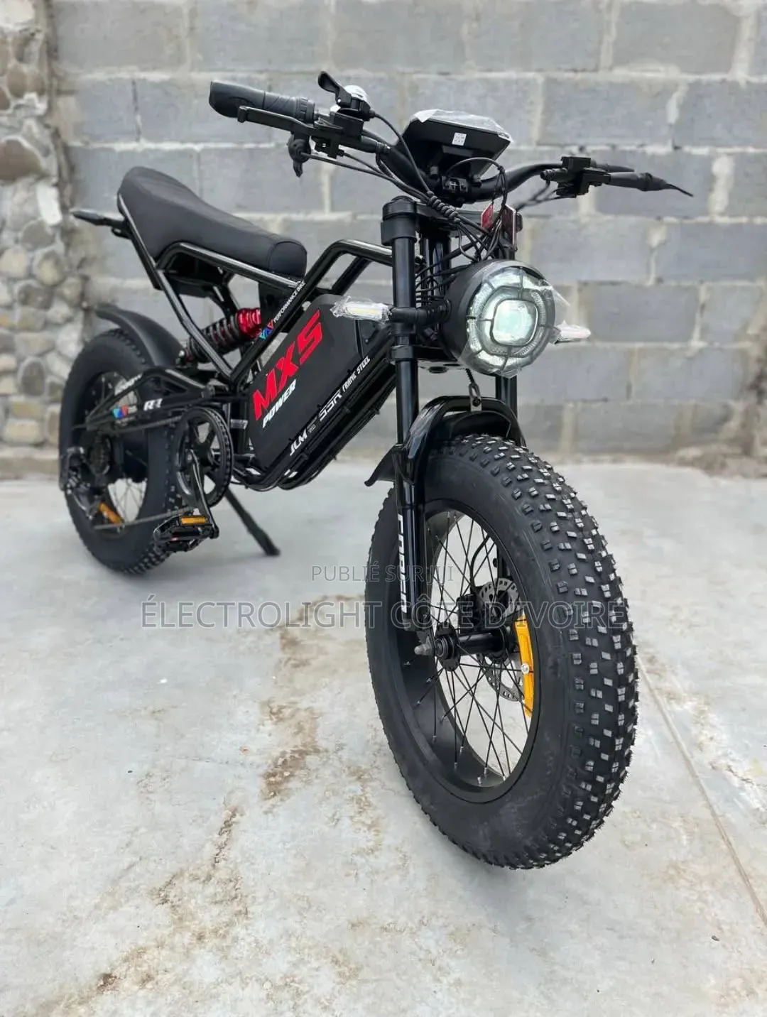 Moto Électrique 1200W