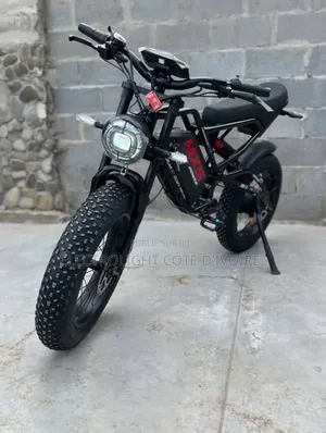Moto Électrique 1200W