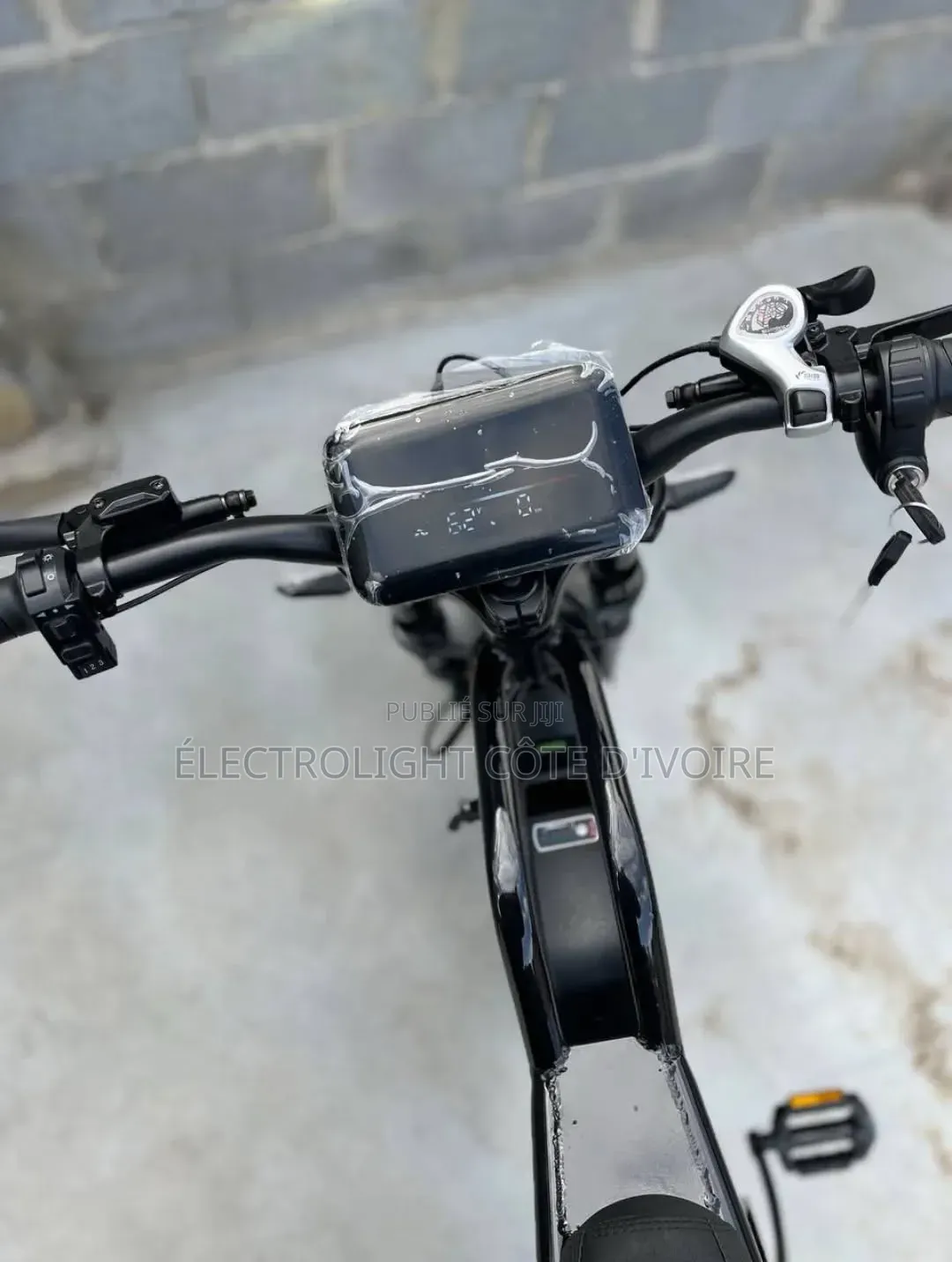 Moto Électrique 1200W