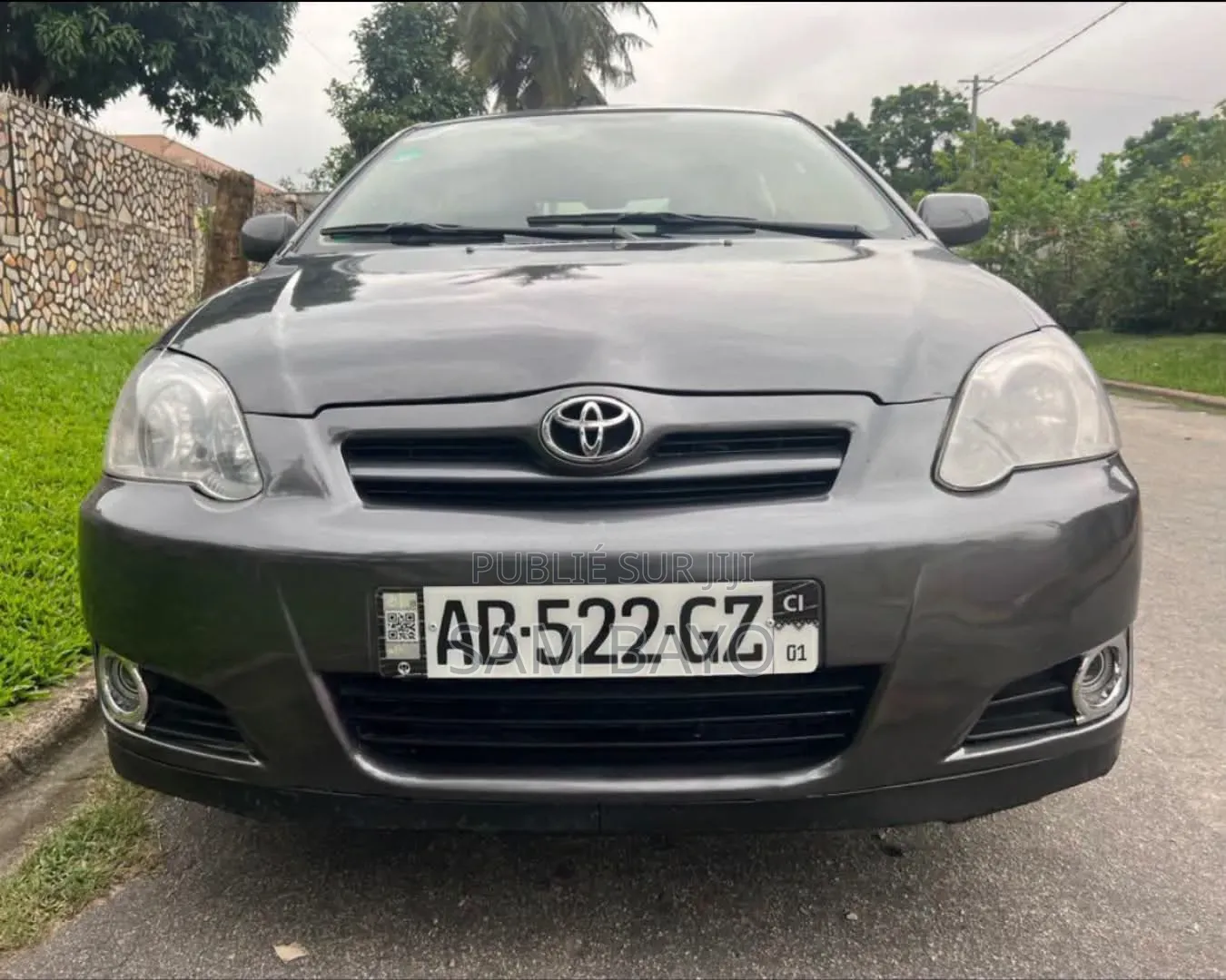 Toyota Corolla 2002 Gris