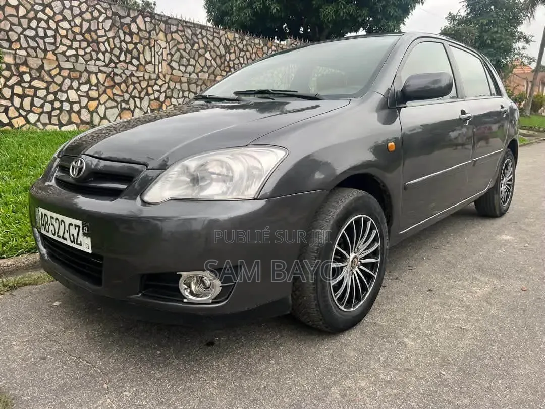 Toyota Corolla 2002 Gris