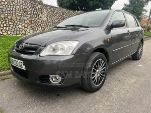 Toyota Corolla 2002 Gris