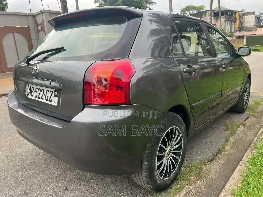 Toyota Corolla 2002 Gris