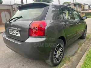 Toyota Corolla 2002 Gris