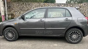 Toyota Corolla 2002 Gris