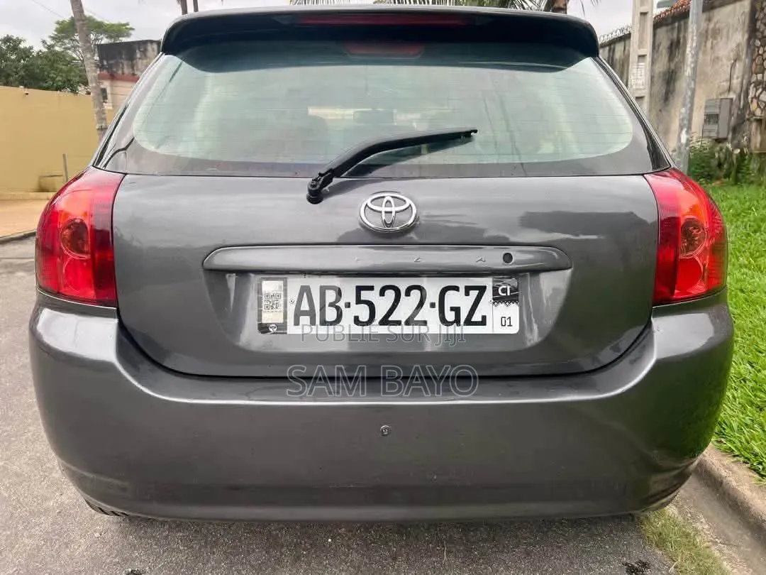 Toyota Corolla 2002 Gris