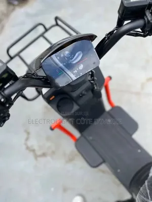 Moto Électrique Triton 1500w