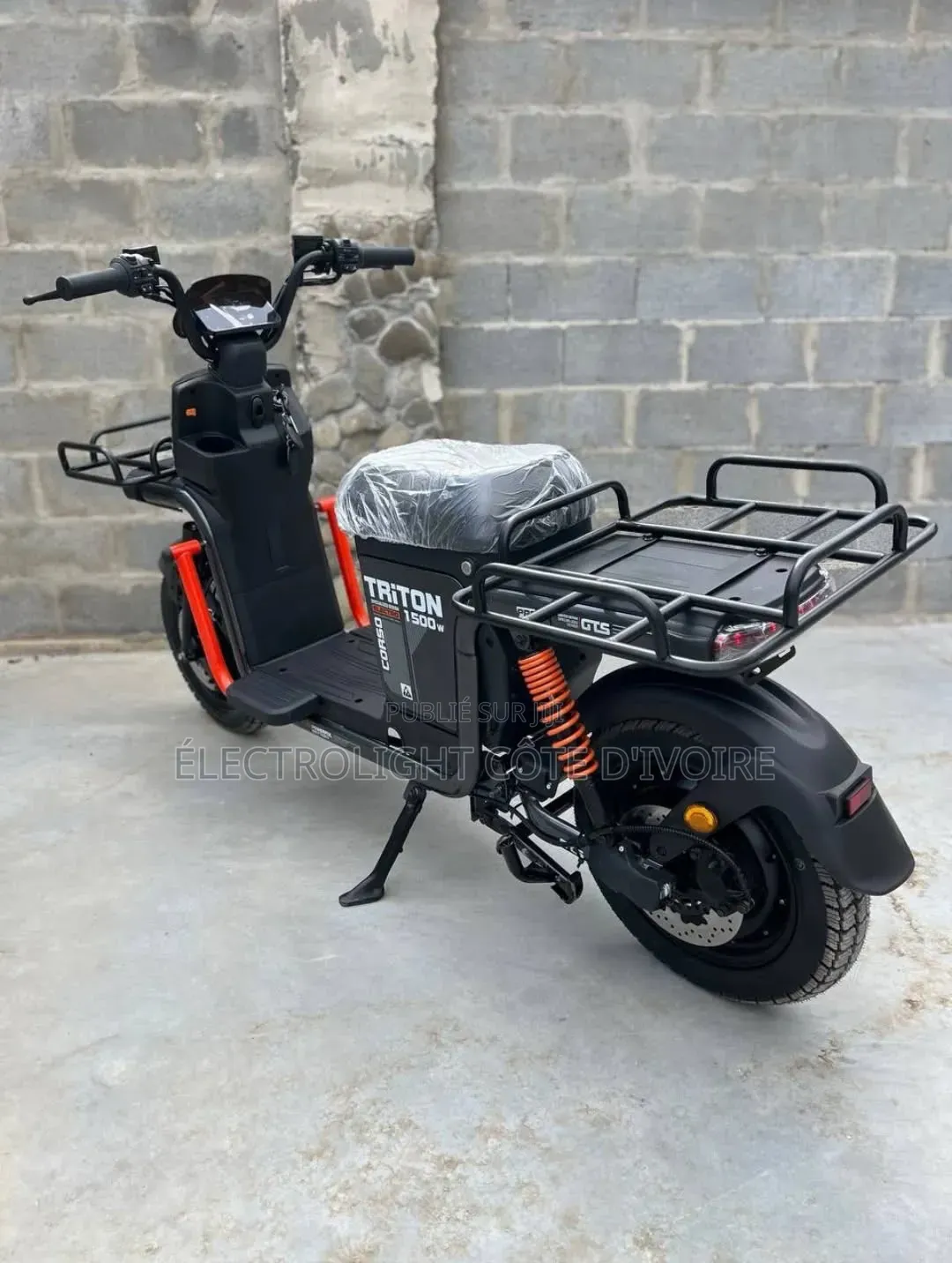 Moto Électrique Triton 1500w