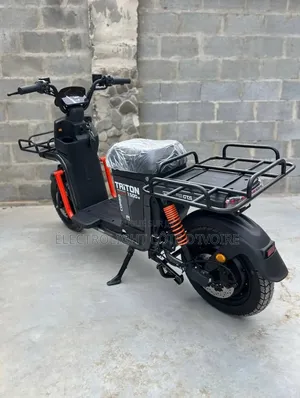 Moto Électrique Triton 1500w