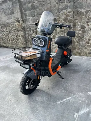 Moto Électrique Corso 1000W