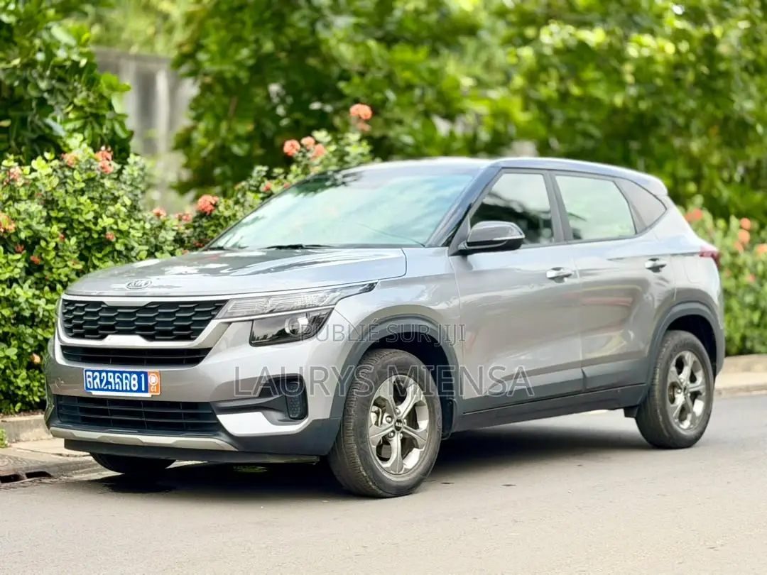 Kia Seltos 2021 Gris