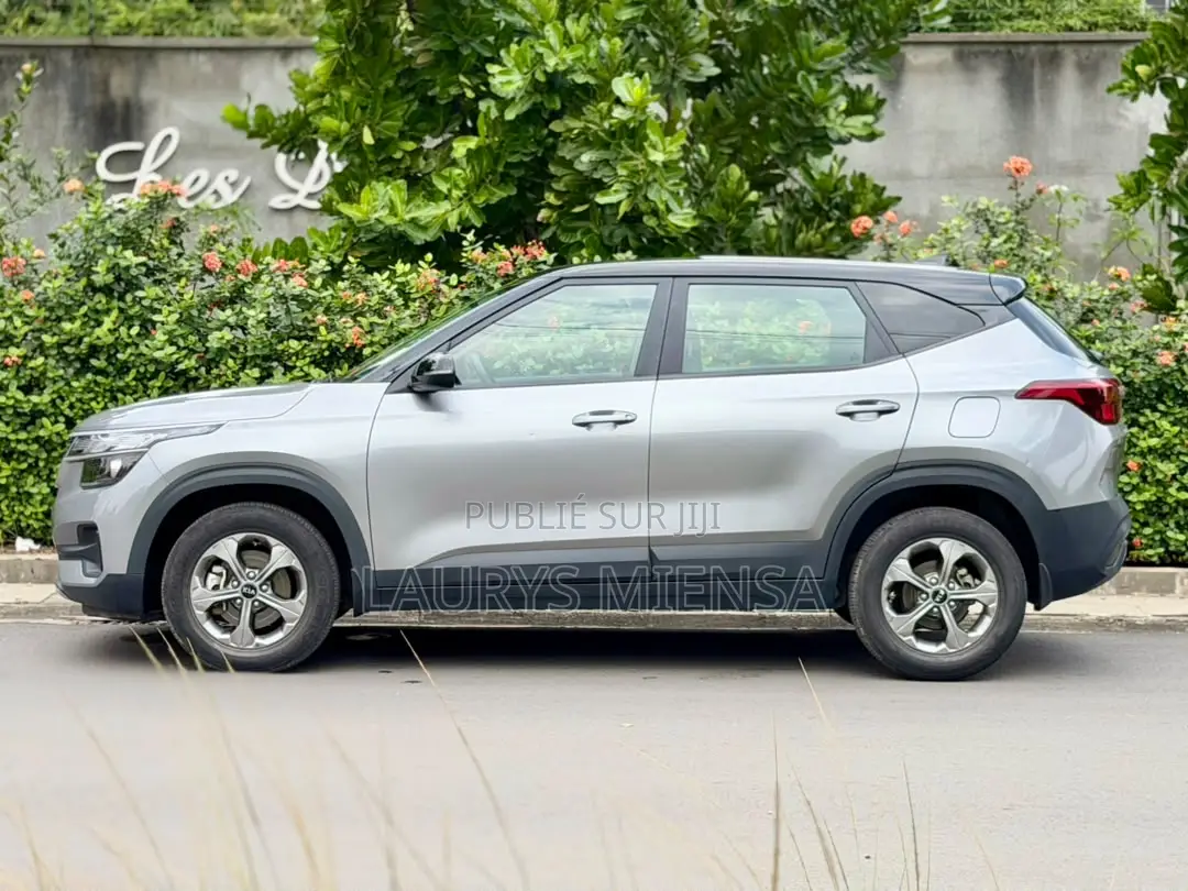 Kia Seltos 2021 Gris