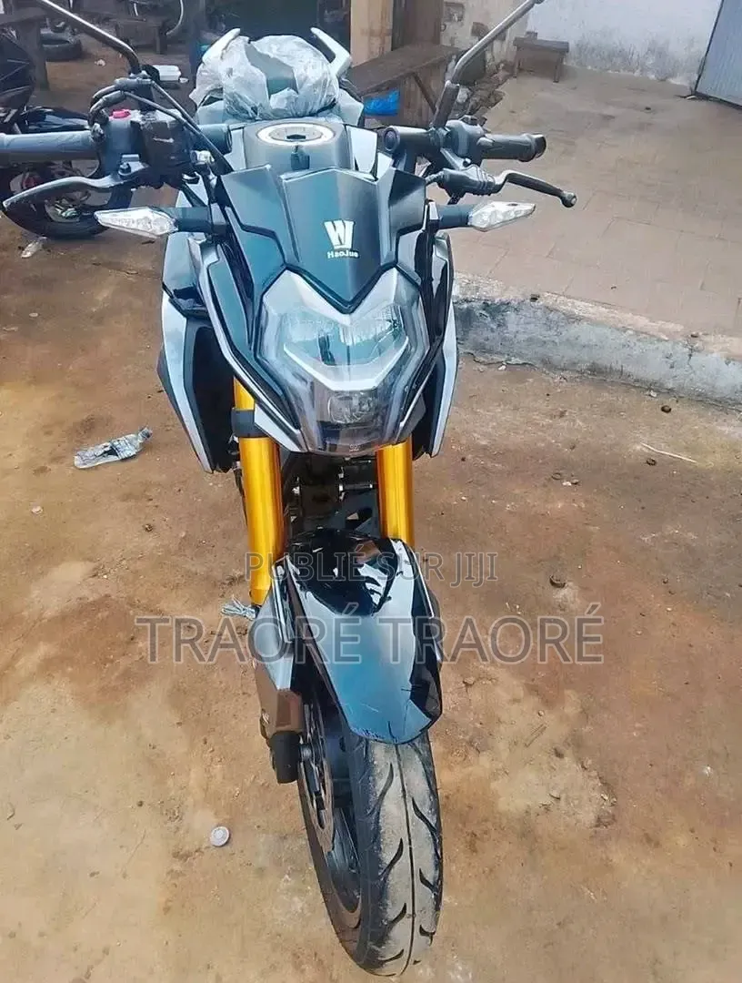 Nouveau Haojue DR190S 2024 Noir