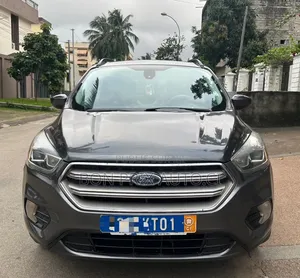 Ford Escape SE FWD 2018 Gris