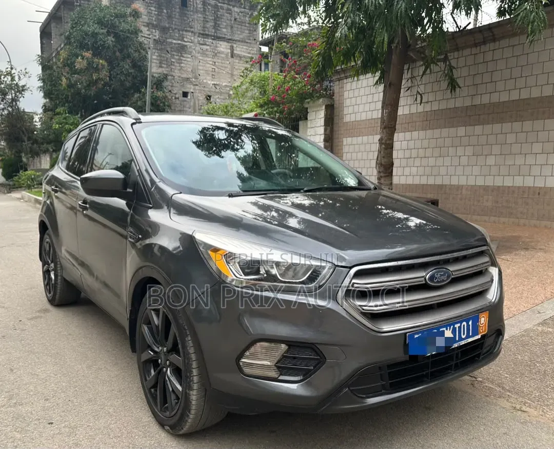 Ford Escape SE FWD 2018 Gris