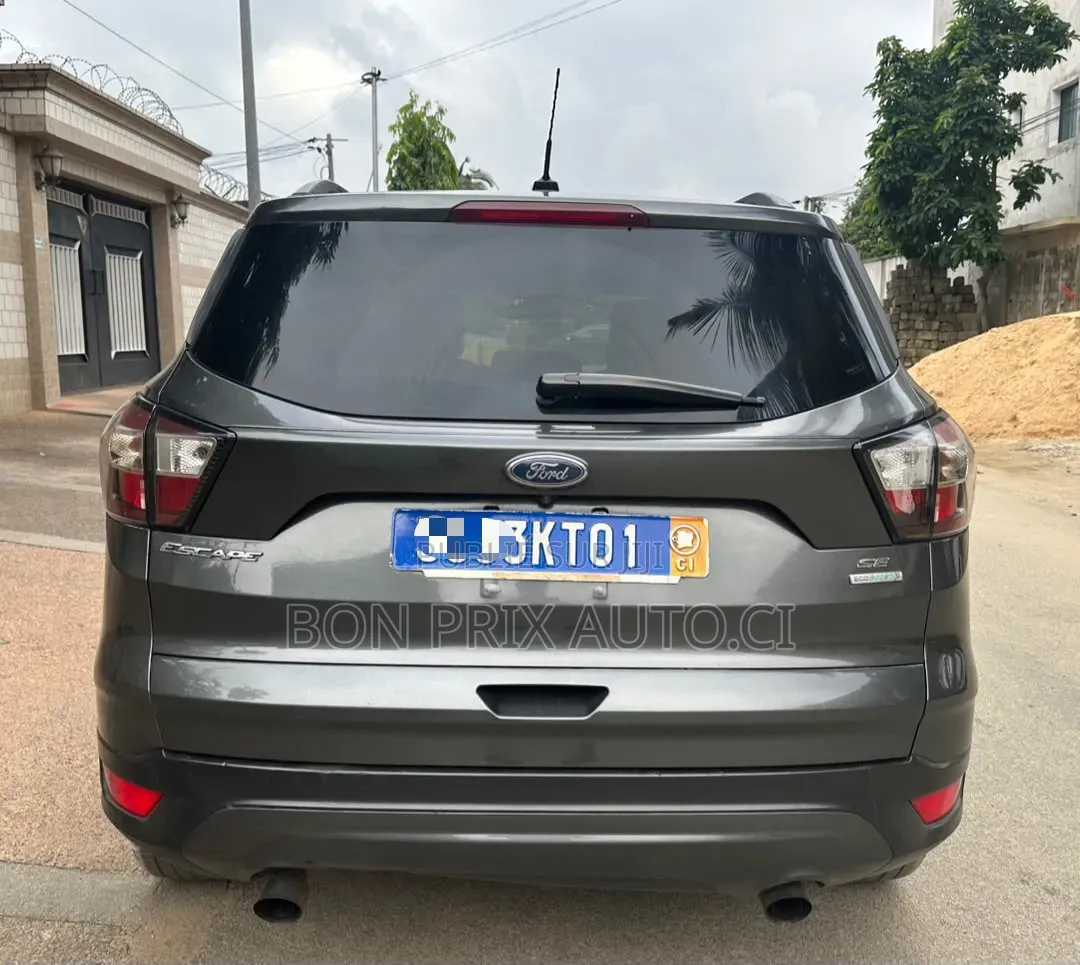 Ford Escape SE FWD 2018 Gris