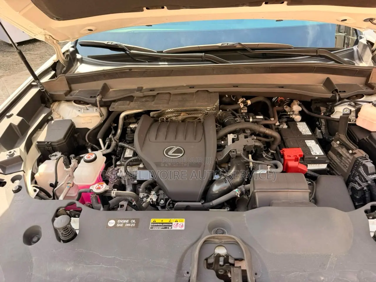 Lexus TX 350 AWD 2025 Blanc