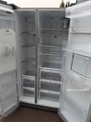 Réfrigérateur Multi-Port Américains