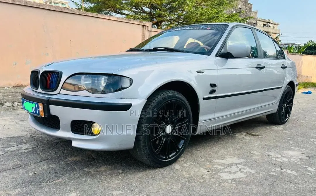 BMW 3 Series 2004 Gris