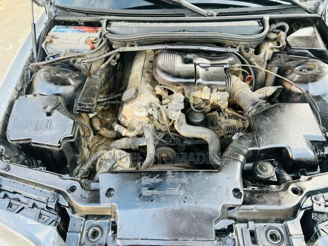 BMW 3 Series 2004 Gris
