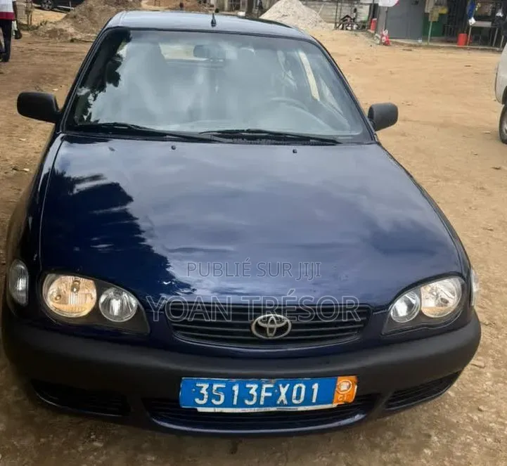 Toyota Corolla 2002 Bleu