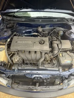 Toyota Corolla 2002 Bleu