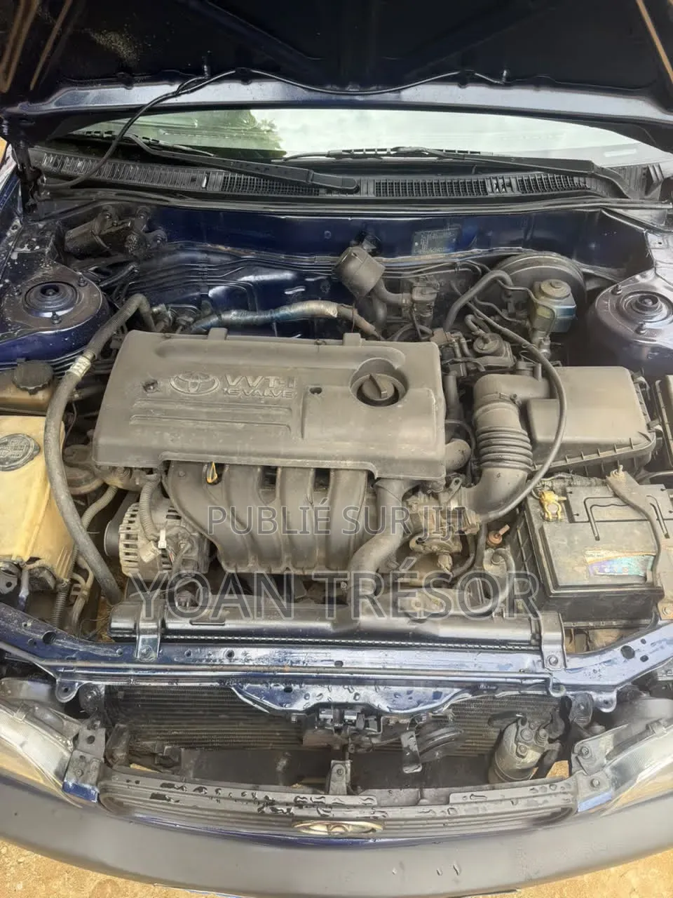 Toyota Corolla 2002 Bleu