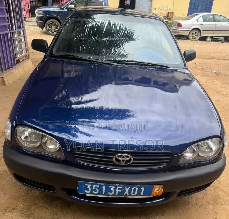 Toyota Corolla 2002 Bleu