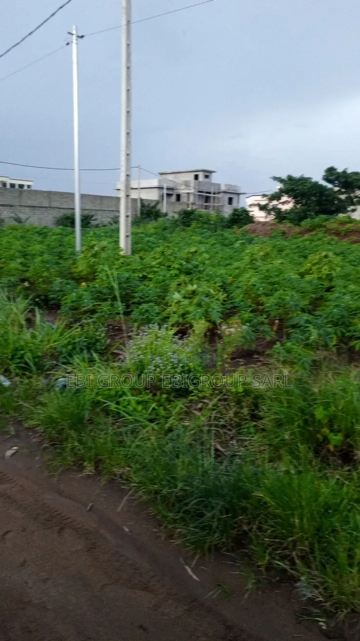 Terrain 1ha en Bordure Lagune Cocody Riviera Mbadon