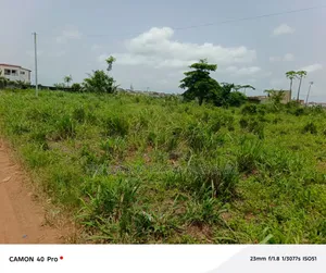 Terrain 1ha en Bordure Lagune Cocody Riviera Mbadon