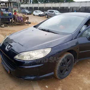 Peugeot 407 2002 Bleu