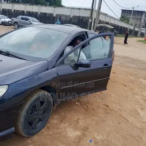 Peugeot 407 2002 Bleu