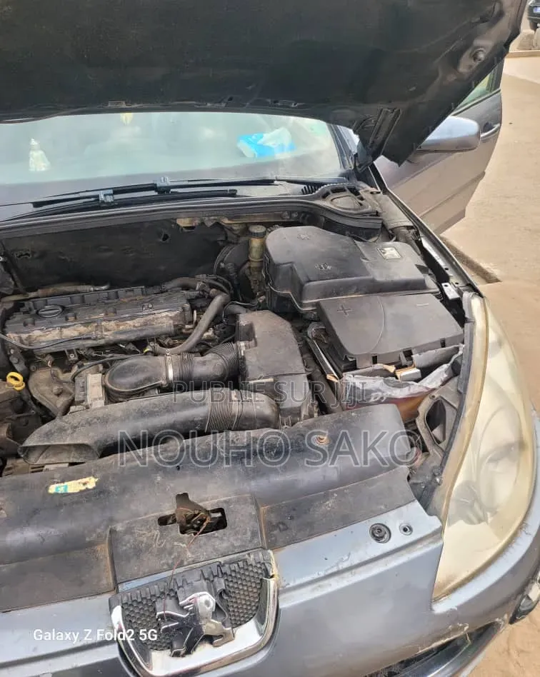 Peugeot 407 2002 Bleu