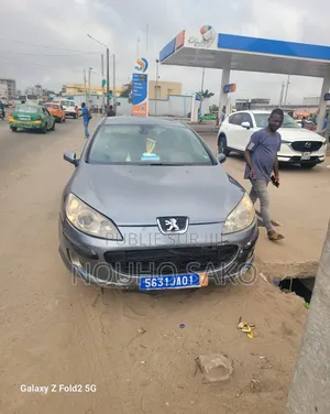 Peugeot 407 2004 Gris