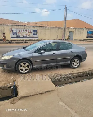 Peugeot 407 2004 Gris