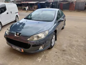 Peugeot 407 2004 Gris