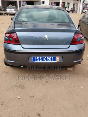 Peugeot 407 2004 Gris