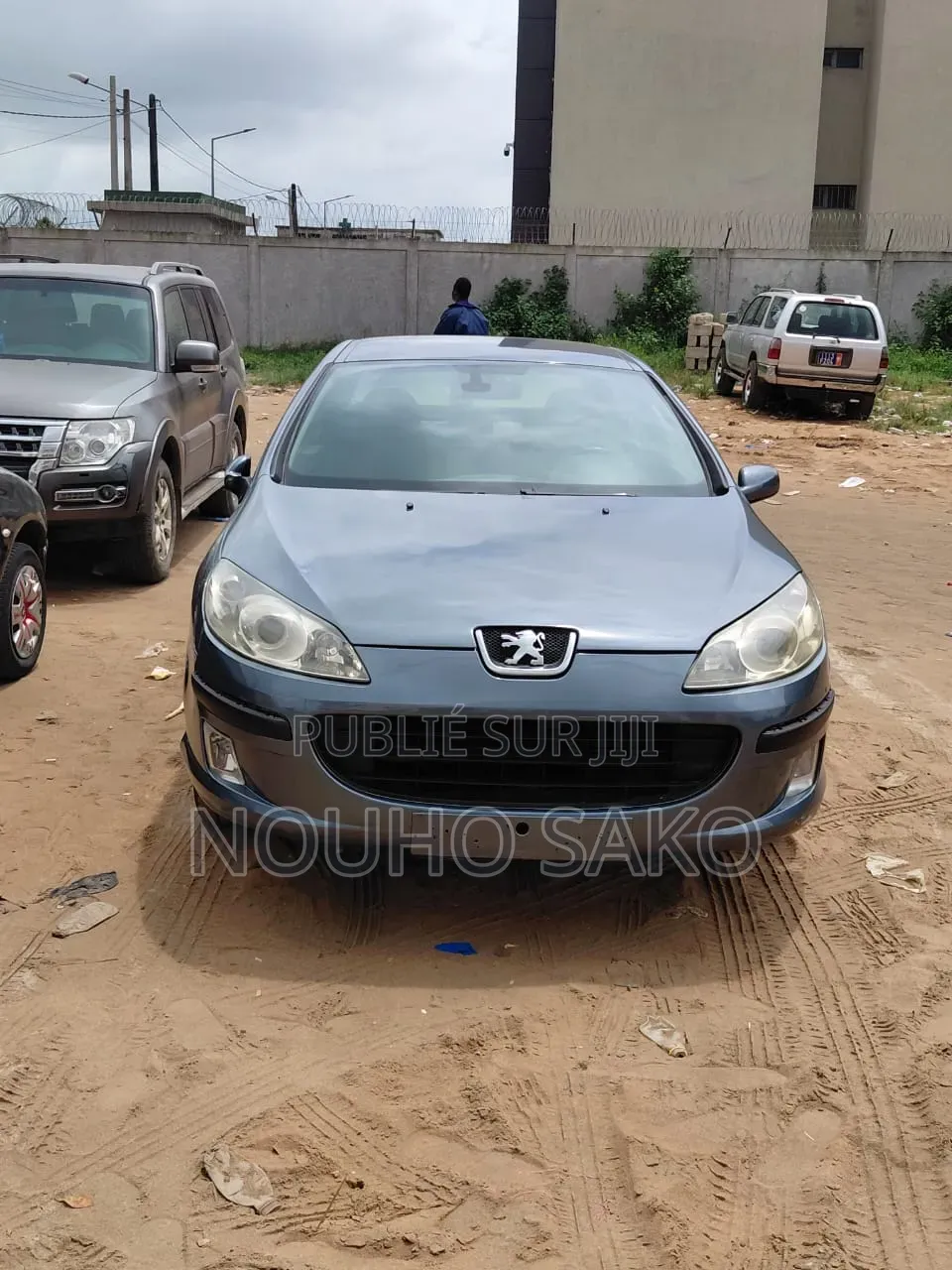 Peugeot 407 2004 Gris