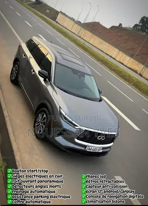 Infiniti Q60 2023 Gris